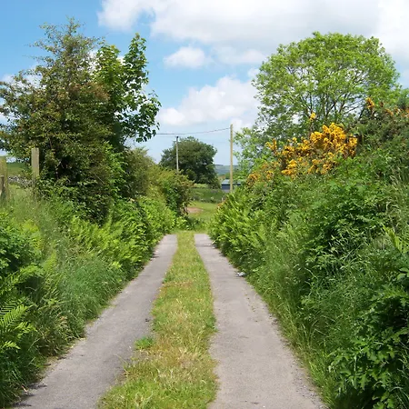 Valley Only Claremorris