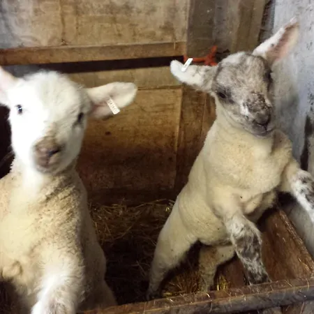 Valley Only Pensjonat