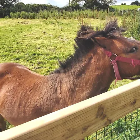 Valley Only Vendégház Claremorris