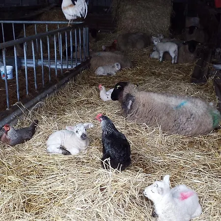 Valley Only Gasthuis 3*