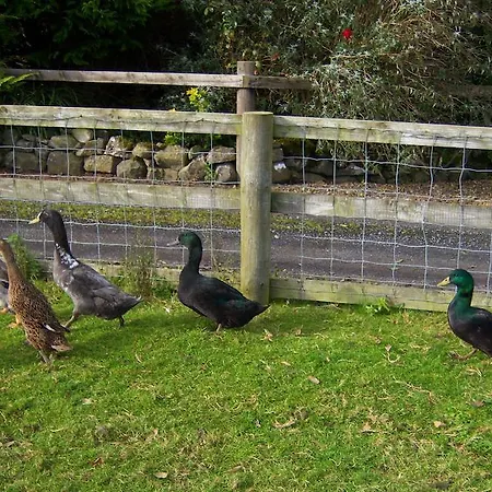 Valley Only Pensionat Claremorris