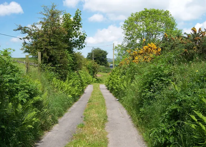 Valley Only クレアモリス